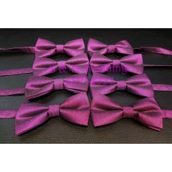 男士閃紫色煲呔，領結 (購買價) MA003