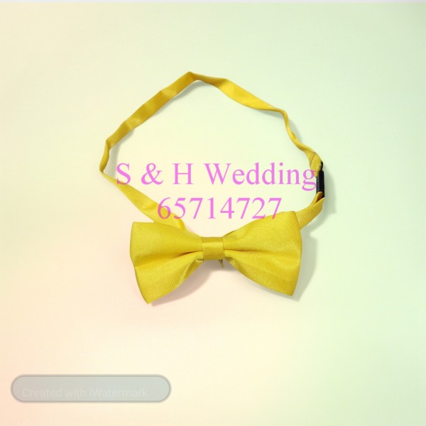男童呔/小童Bowtie - 黃色 KA068 (全新購買價)