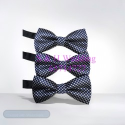 男士煲呔，領結. 藍色配白點圖案bowtie (購買價) MA115