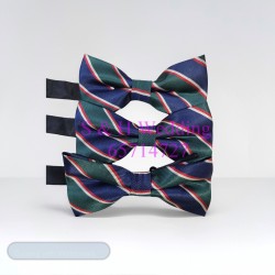 男士煲呔，領結. 綠色彩斜紋bowtie (購買價) MA121