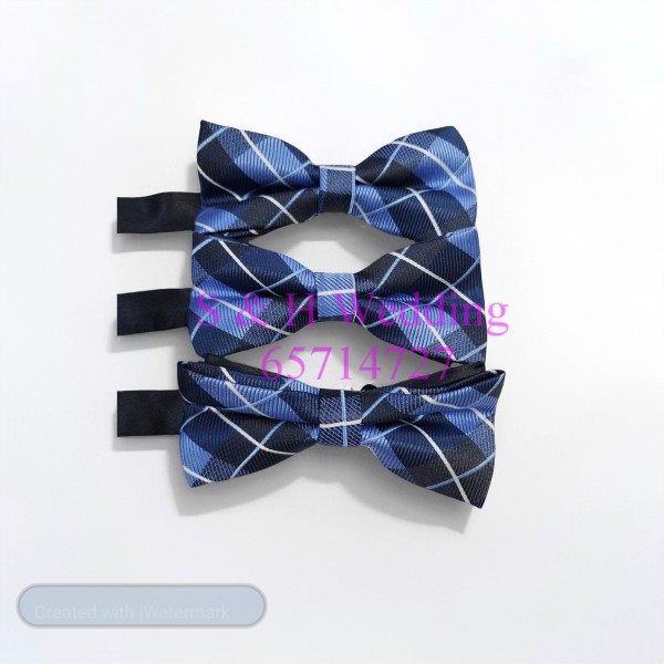 男士煲呔，領結. 藍色格仔圖案bowtie (購買價) MA123