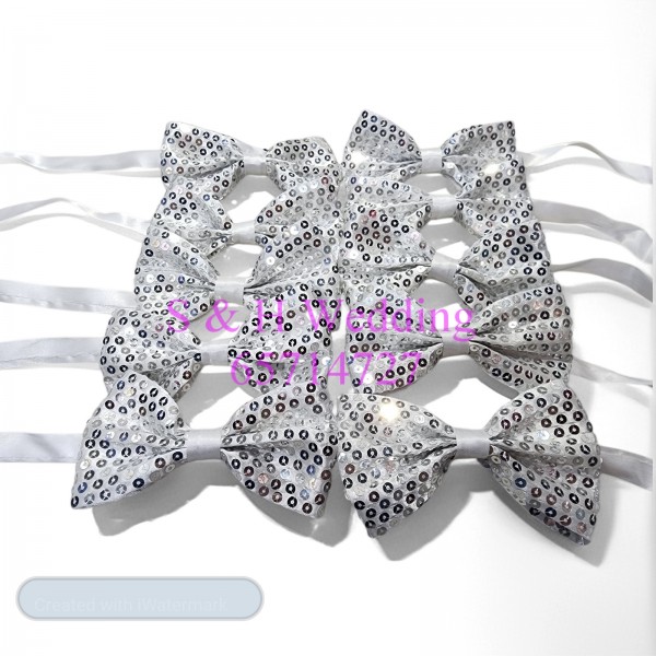 (表演BOWTIE) 男士煲呔，領結. 銀白閃珠片bowtie (購買價) MA155